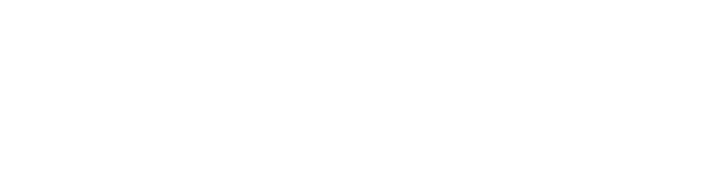 10 - Bruviti